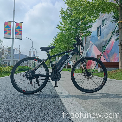 Vélo électrique 350W vélo à vélo électrique